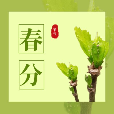 春分节气祝福实景发芽公众号次图 模板ID：10145