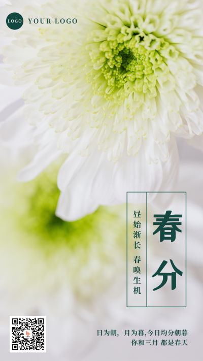文艺清新春分节气手机海报 模板ID:10150