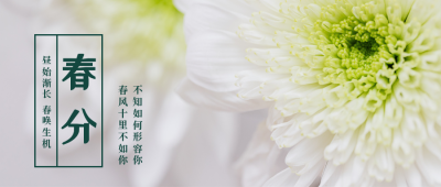 文艺清新春分节气公众号首图 模板ID：10151