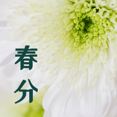 文艺清新春分节气公众号次图 模板ID：10152