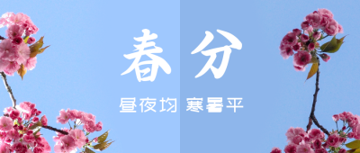 春分节气昼夜平分创意实景公众号首图 模板ID:10240