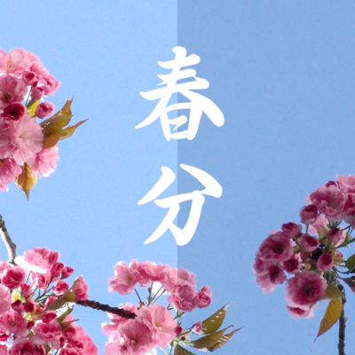 春分节气昼夜平分创意实景公众号次图 模板ID：10241