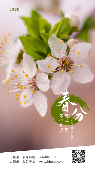 春分节气春暖花开梨花实景手机海报 模板ID:10250