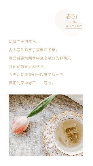 粉色樱花飘落二十四节气春分春天动态竖版配图 模板ID:10254