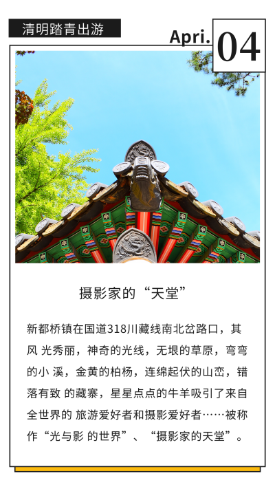 简约清明节出游踏青日历竖版配图 模板ID：10519