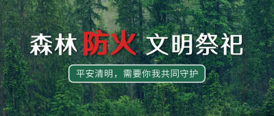 清明节文明祭扫森林防火实景公众号首图 模板ID：10676