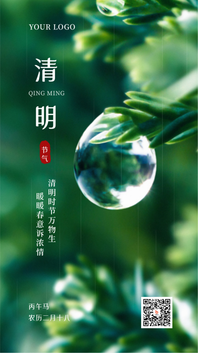 清明节气追思缅怀实景手机海报 模板ID:10692