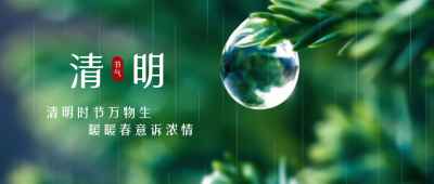 清明节气露珠实景公众号首图 模板ID:10693