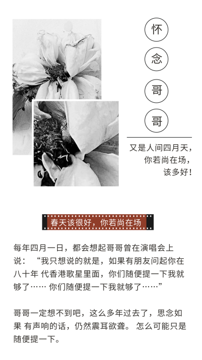 愚人节怀念张国荣哥哥竖版配图 模板ID:10760