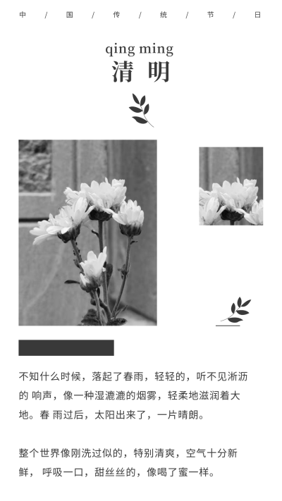清明节踏青祭祀黑白文艺竖版配图 模板ID:10806
