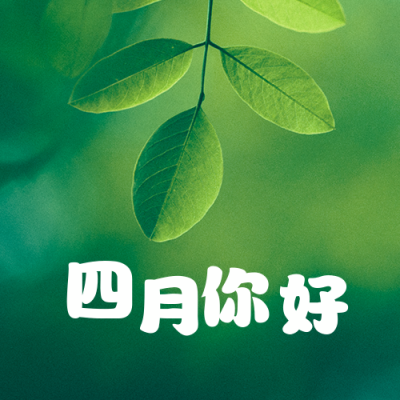 四月问候清新实景树叶公众号次图 模板ID：10826