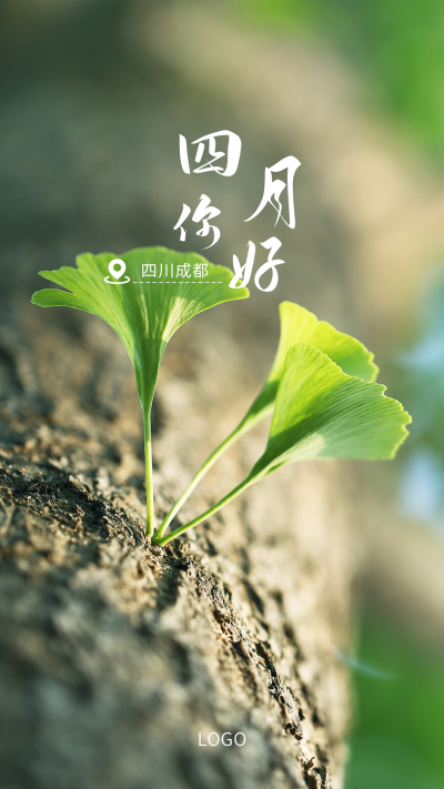 4月你好早安问候春天银杏实景手机海报 模板ID：10854