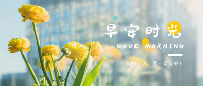 早安问候实景花束清新文艺公众号首图 模板ID：11220