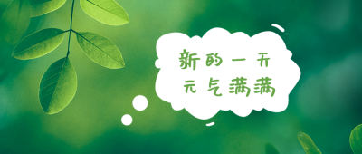 清新实景早安问候正能量公众号首图图 模板ID:11563