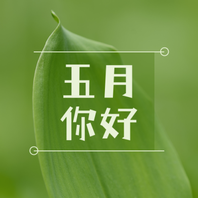 5月你好早安问候清新绿叶实景公众号次图 模板ID：11806