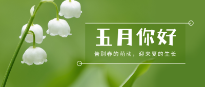 5月你好早安问候清新铃兰实景公众号首图 模板ID：11807