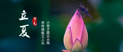 问候祝福实景荷花二十四节气立夏公众号封面首图 模板ID:11844