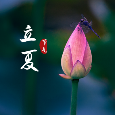 问候祝福实景荷花二十四节气立夏公众号封面次图 模板ID：11845