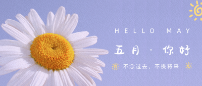 清新小雏菊五月你好月初问候公众号封面首图 模板ID：11872
