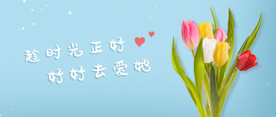 感恩母亲节祝福郁金香花束公众号封面首图 模板ID:11936