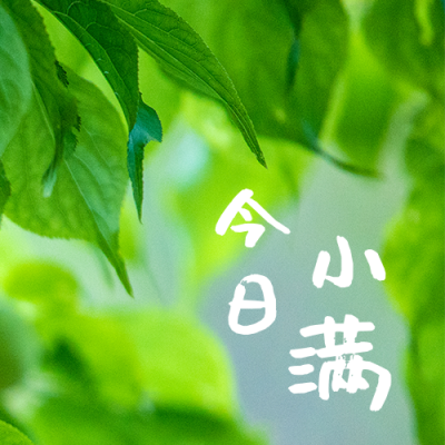 清新绿叶实景二十四节气小满公众号封面次图 模板ID:12031