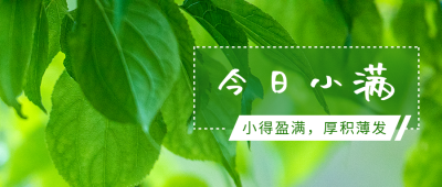 清新绿叶实景公众号封面首图 模板ID:12032