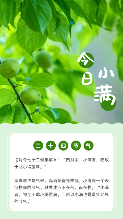 清新简约绿叶实景二十四节气小满竖版配图 模板ID：12034
