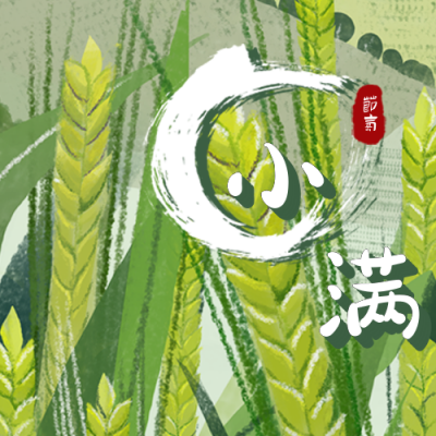 绿色简约手绘插画小麦小满节气公众号次图 模板ID:12170