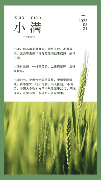 简约小满节气介绍竖版配图 模板ID：12249