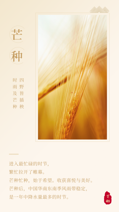 文艺黄色中国传统二十四节气芒种竖版配图 模板ID：12780
