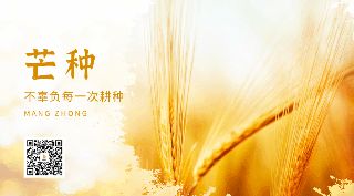 二十四节气芒种实景动态二维码 模板ID：12889