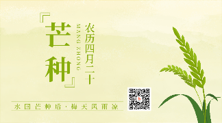 手绘绿色芒种节气小麦动态二维码 模板ID:12892