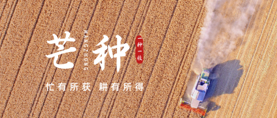 传统二十节气黄色简约实景麦田芒种问候收获公众号首图 模板ID：12909