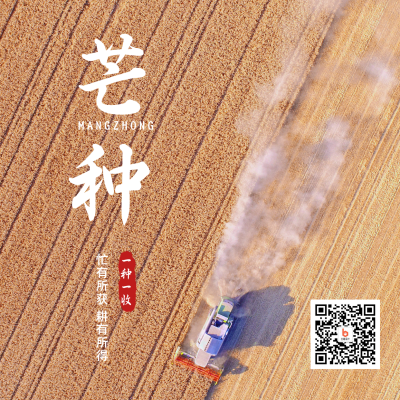传统二十四节气芒种节气问候收获简约黄色实景方形海报 模板ID:12911