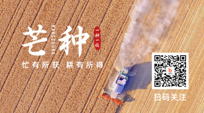 芒种节气问候收获实景二维码 模板ID：12912
