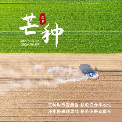 芒种节气问候祝福方形海报 模板ID:12913