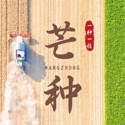 芒种节气一种一收祝福实景公众号次图 模板ID:12919