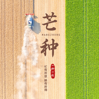芒种节气一种一收祝福实景方形海报 模板ID：12920