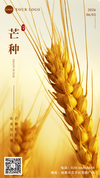 芒种实景麦子手机海报 模板ID：12947