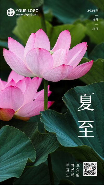 夏至节气夏天荷花荷叶简约实景手机海报 模板ID:13445