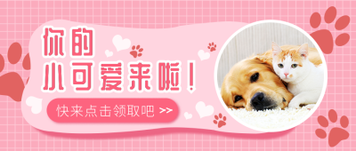 粉色可爱清新萌宠公众号封面首图 模板ID：13776