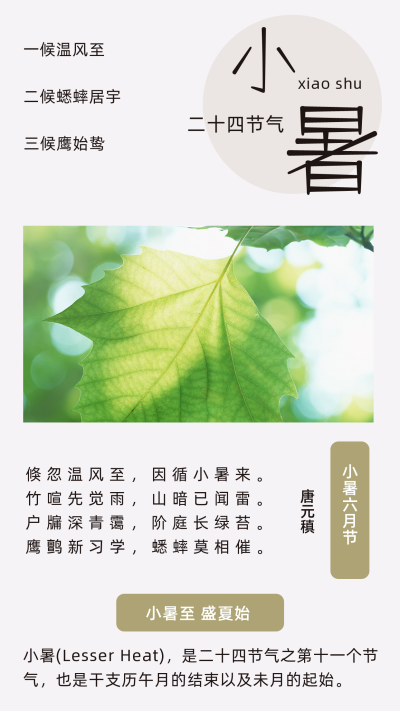 文艺中国传统二十四节气小暑竖版配图 模板ID：13884