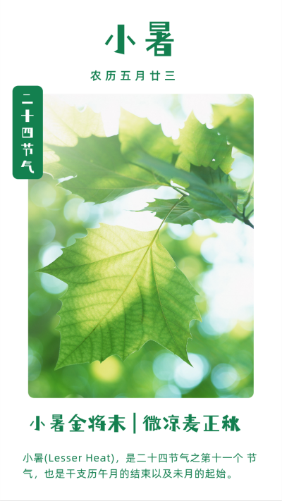 简约二十四节气小暑夏季竖版配图 模板ID：13885