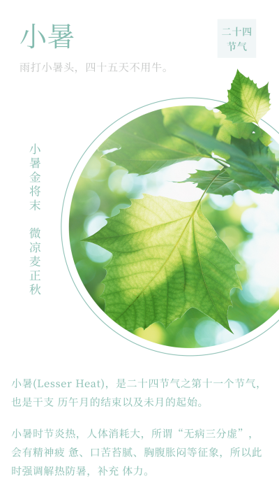 文艺二十四节气小暑大暑竖版配图 模板ID：13888