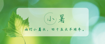 中国传统节气小暑大暑公众号封面首图 模板ID:13892