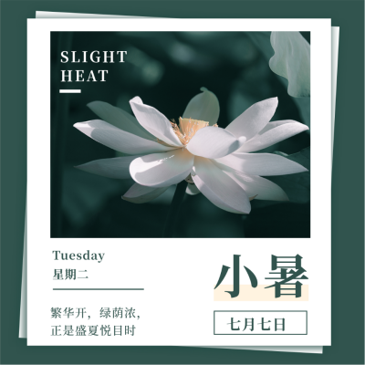 文艺日签小暑节气问候实景方形海报 模板ID:14189