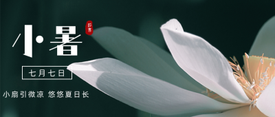 实景文艺荷花小暑节气公众号首图 模板ID：14191