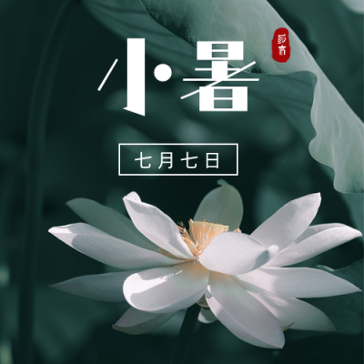 实景文艺荷花小暑节气公众号次图 模板ID：14192