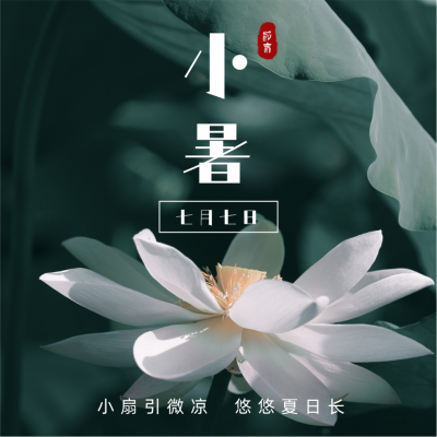 实景文艺荷花小暑节气方形海报 模板ID:14193
