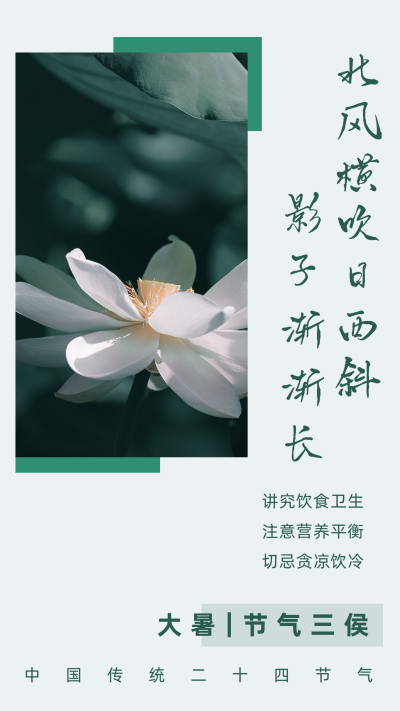 中国风传统大暑节气竖版配图 模板ID:14441